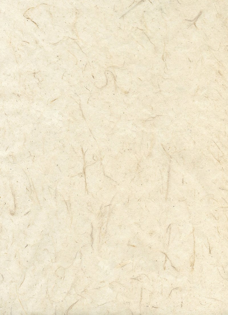 Cultural Fusion Specialties