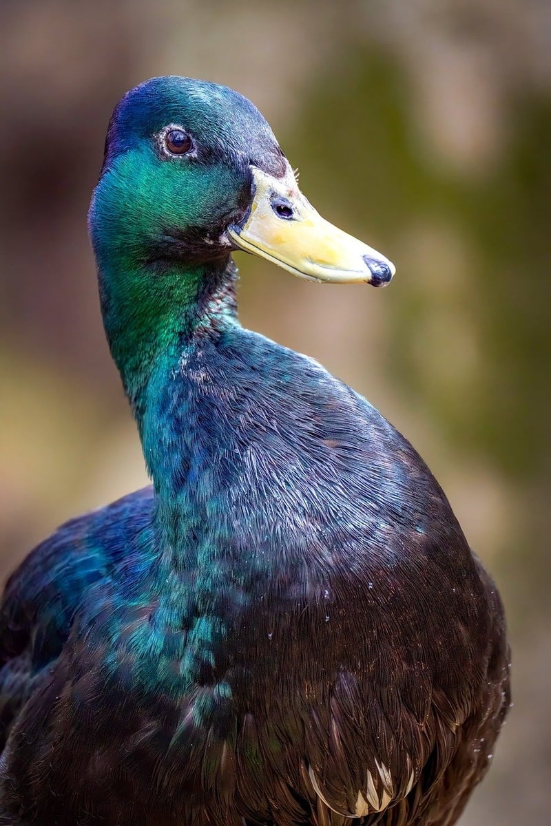 Innovative Drink Pairings